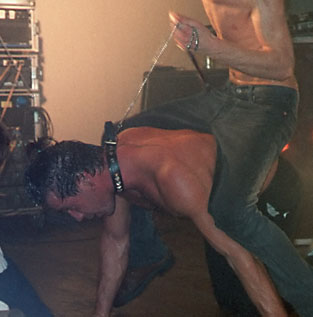 File:till collar and leash.jpg