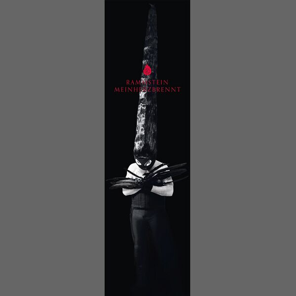 File:2012.12.05 12.50.17 DOORPOSTER F750X.jpg