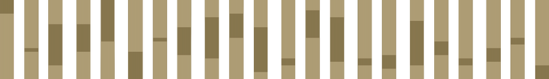 File:ChromosomeMotif.png