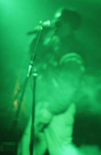 File:till jacket stripes.jpg